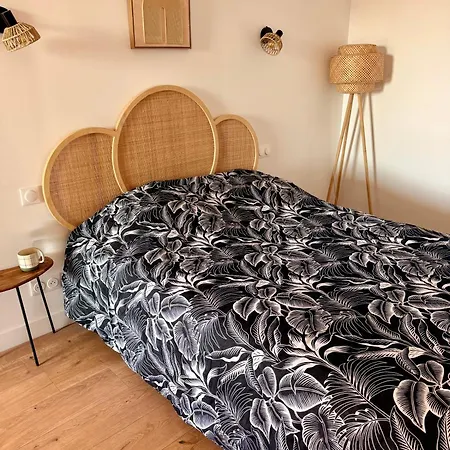 Votre Grand Cocon Nicois Apartamento