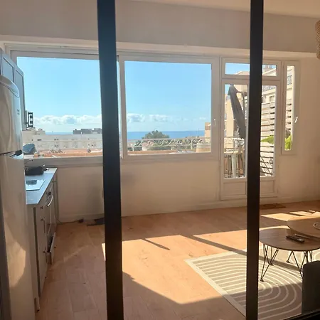 Votre Grand Cocon Nicois Apartamento